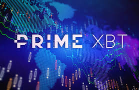 Trading Dogecoin on PrimeXBT A Comprehensive Guide 1441051766